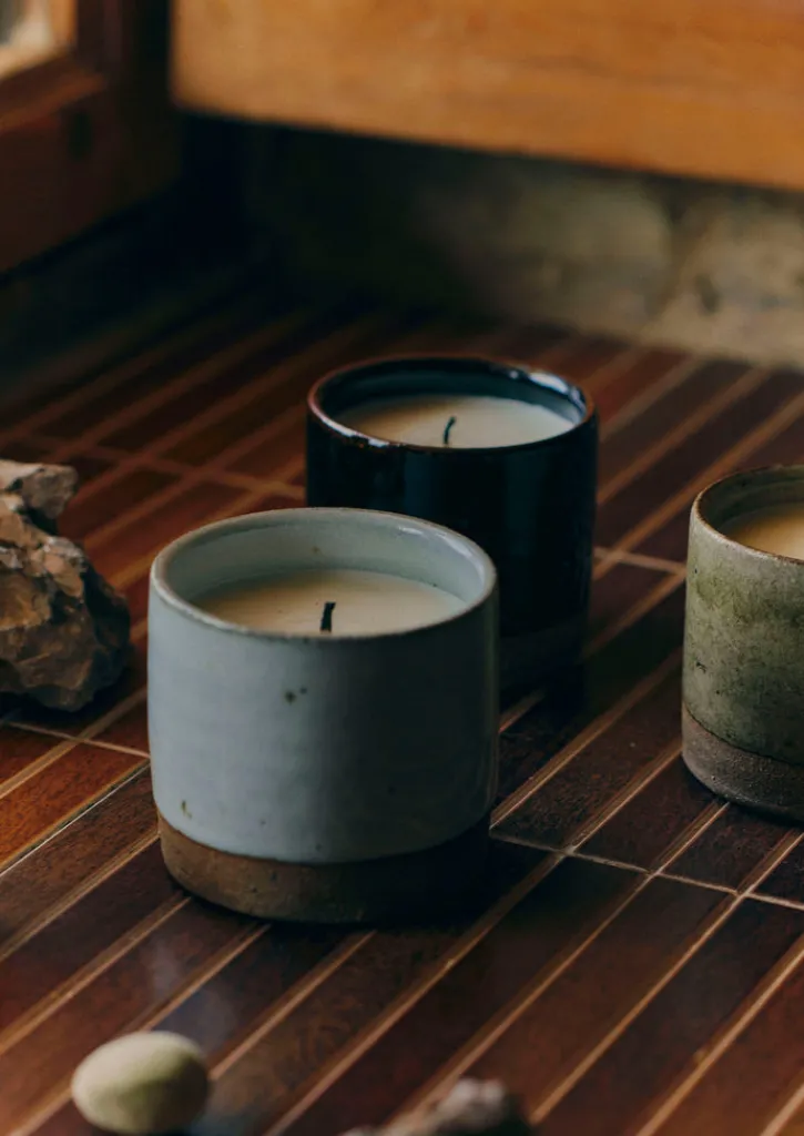 TOAST Giant Fir and Mountain Juniper Scented Candle- Candles & Holders